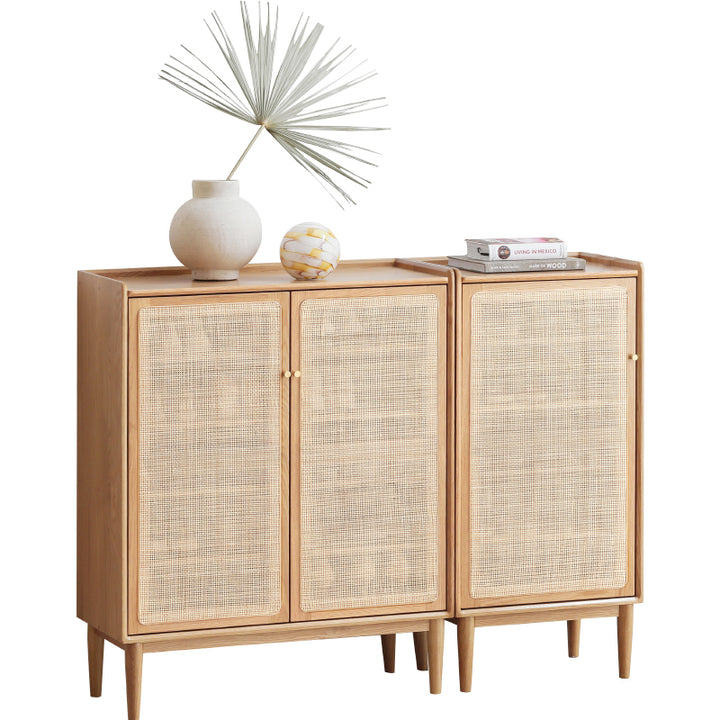 Wally rattan shoe cabinet